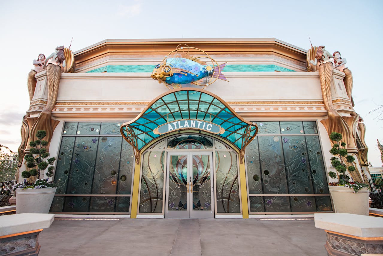 pexels-katiebrittle-34088453