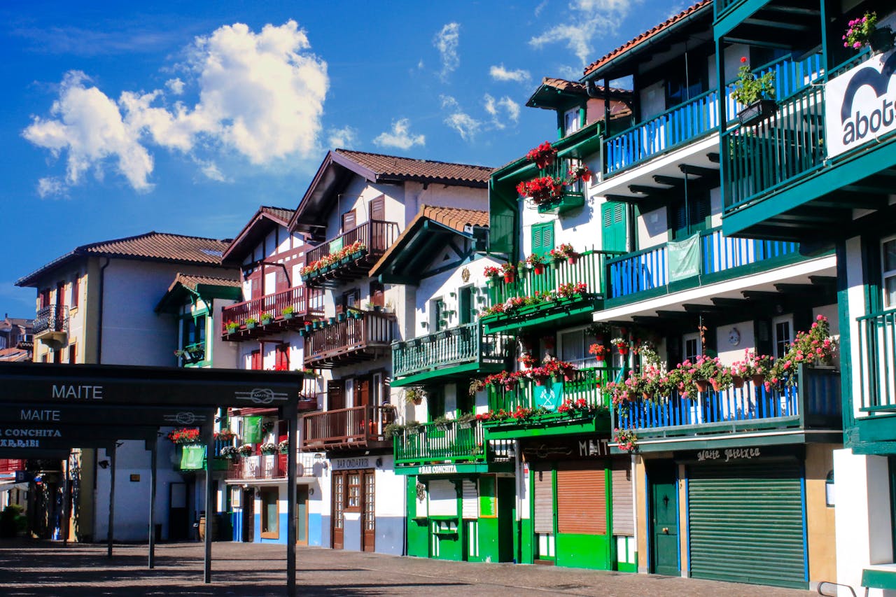 pexels-sandivan-34203191